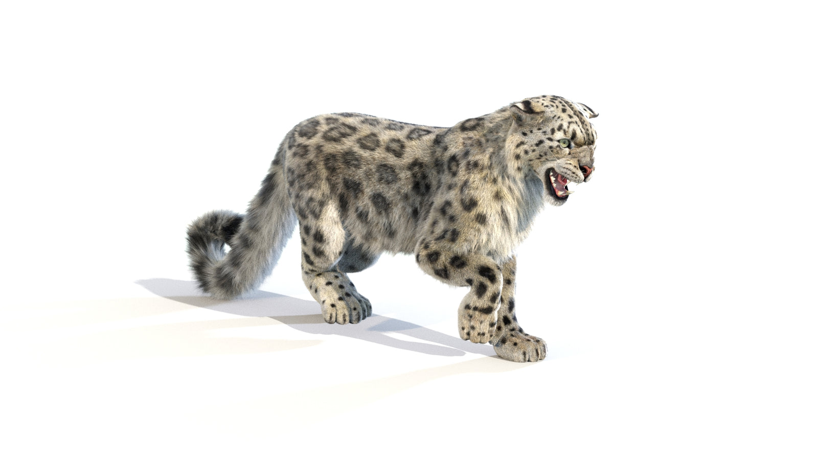 Animated Snow Leopard 3D Model Fur 360° view 1 frame 13