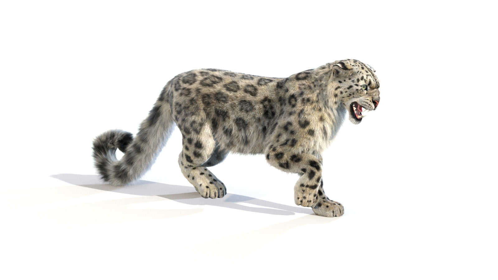 Animated Snow Leopard 3D Model Fur 360° view 1 frame 14
