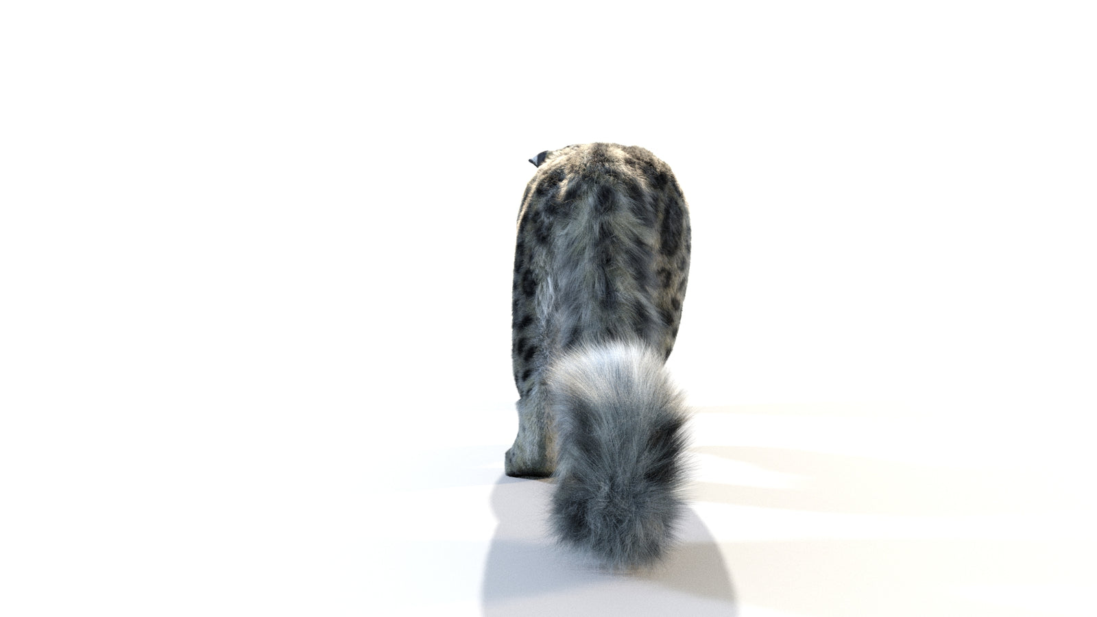 Animated Snow Leopard 3D Model Fur 360° view 1 frame 26