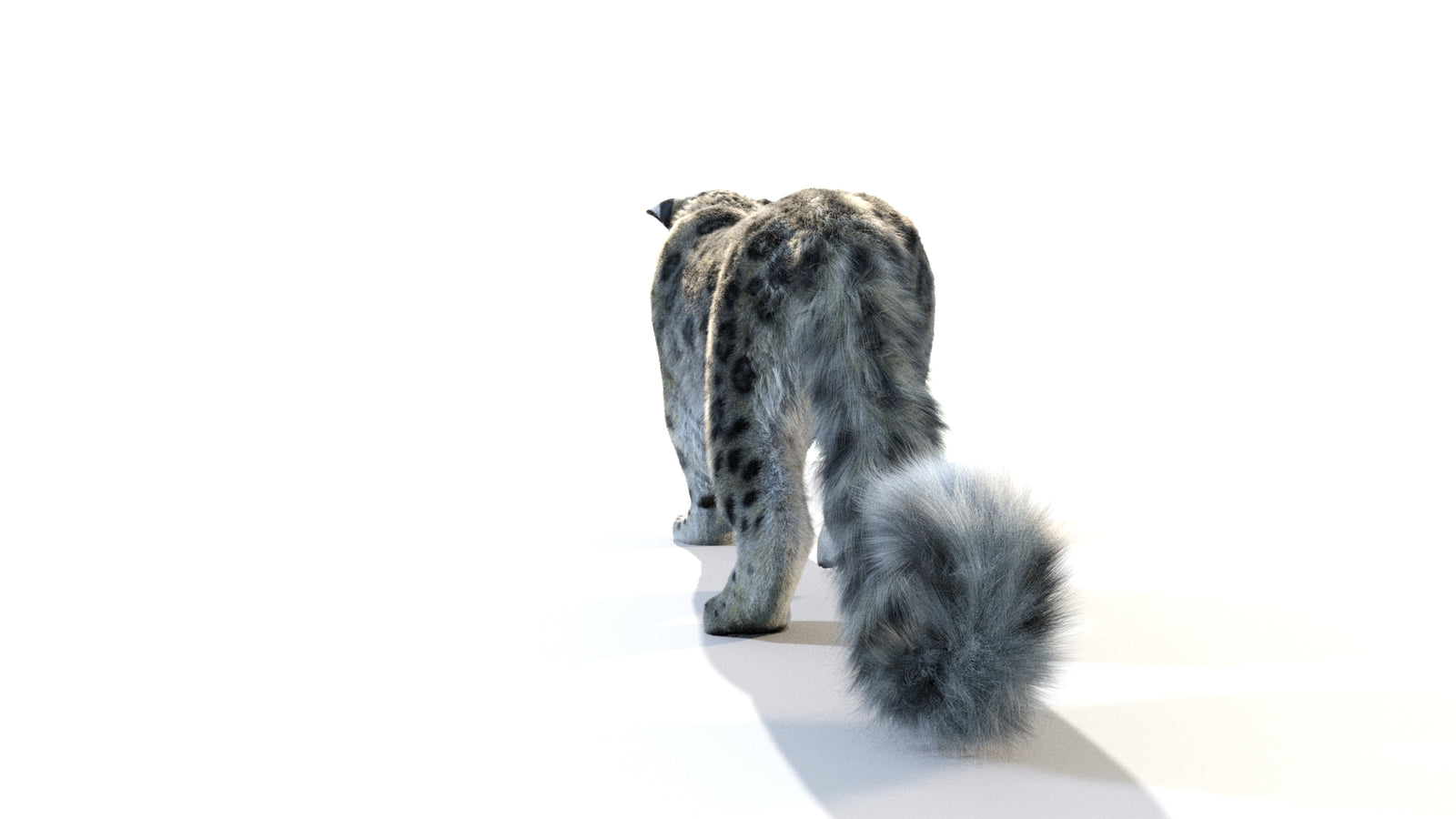 Animated Snow Leopard 3D Model Fur 360° view 1 frame 27