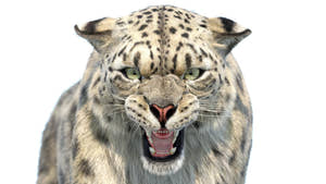 Big Cats Ultimate 3d Models Bundle Thumbnail