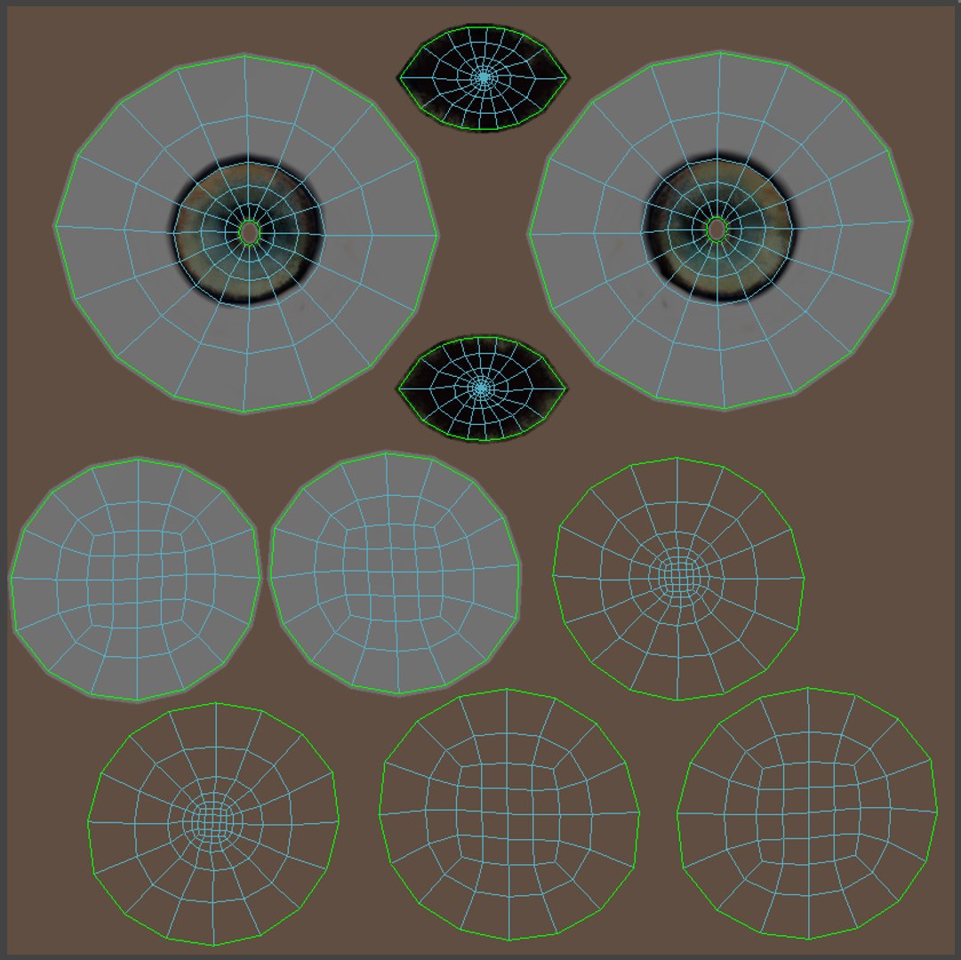 Leopard 3D model Eyes UVs
