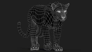 Animated Sri Lankan Leopard 3D Model Wireframe View Subdivision Level 0 Thumbnail