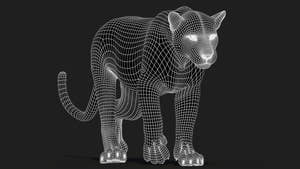Big Cat 3D Model Rigged Animated Fur Bundle Thumbnail