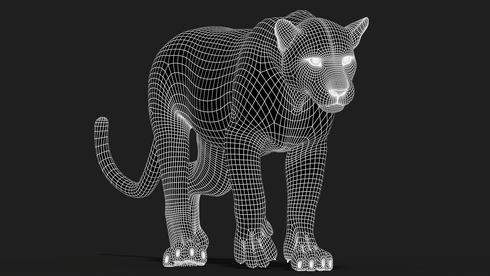Animated Sri Lankan Leopard 3D Model Wireframe View Subdivision Level 1