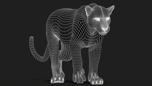 Animated Sri Lankan Leopard 3D Model Wireframe View Subdivision Level 1 Thumbnail
