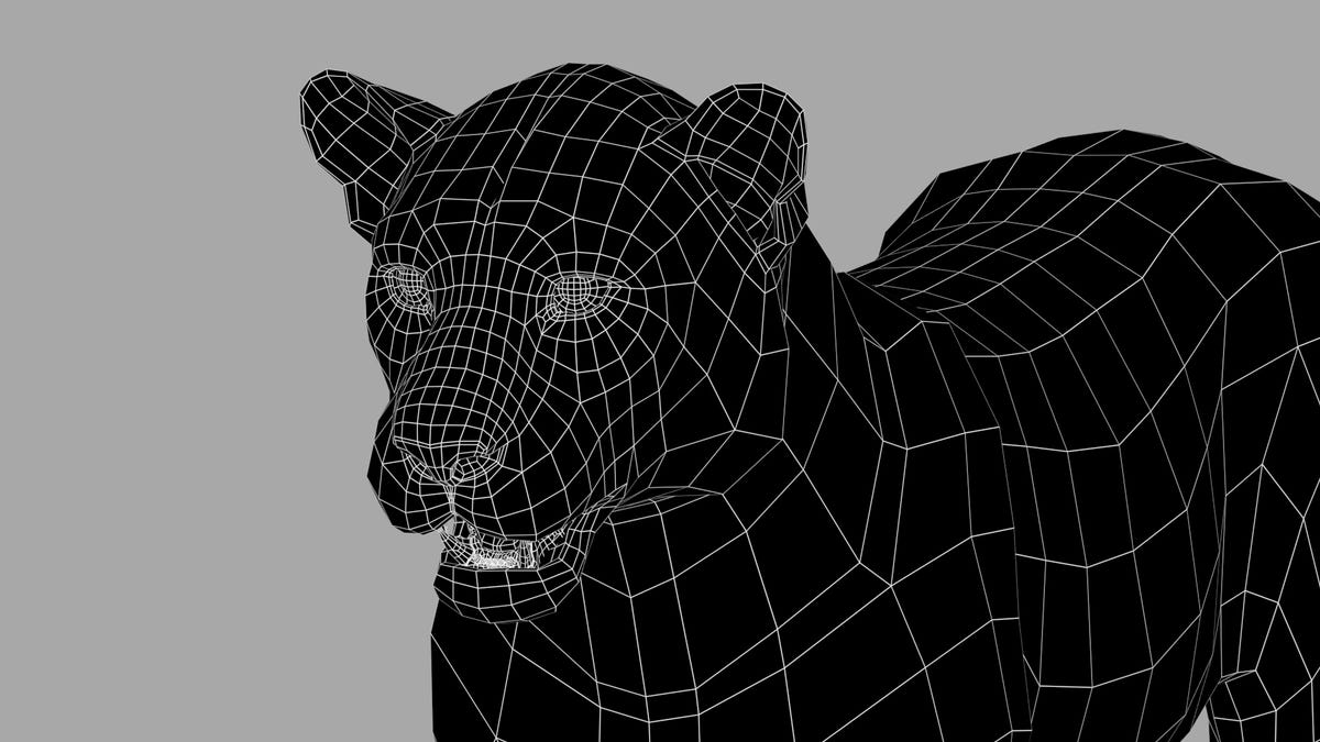 Leopard 3D model Head Close Up - Wireframe View - Subdivision Level 0