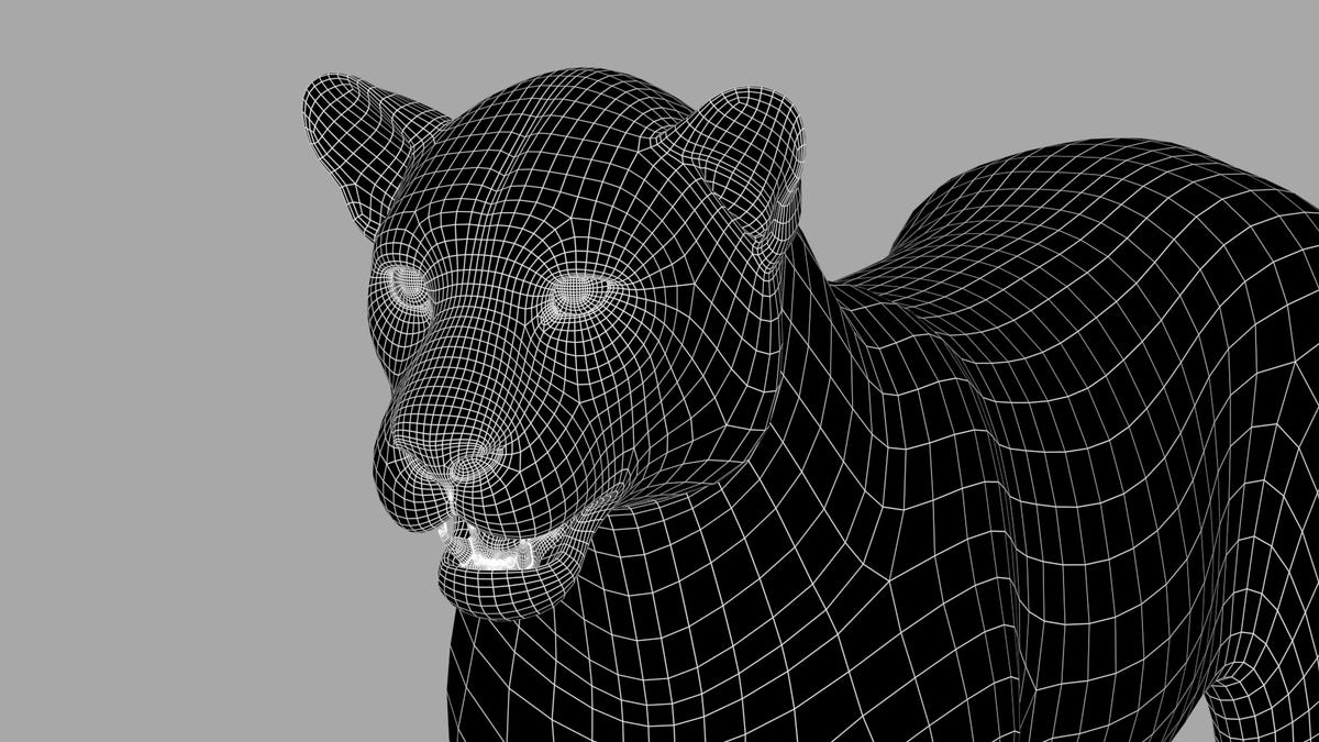 Leopard 3D model Head Close Up - Wireframe View - Subdivision Level 1