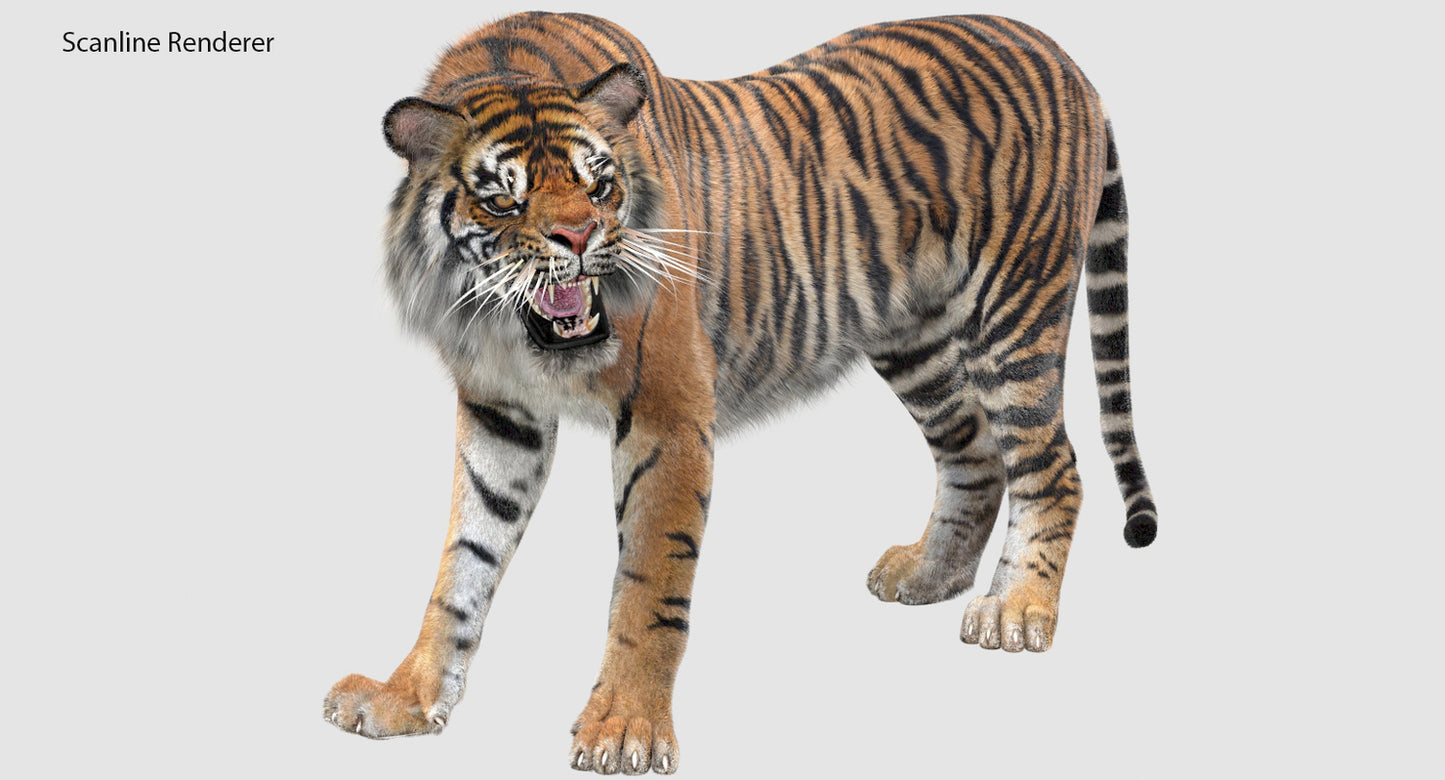 Animated Tiger 3D Model with Fur