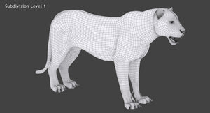 Wireframe View of Tiger 3D Model at Subdivision 1 Thumbnail
