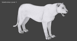 Tiger 3D Model Wireframe View -Subdivision Level 1 Thumbnail