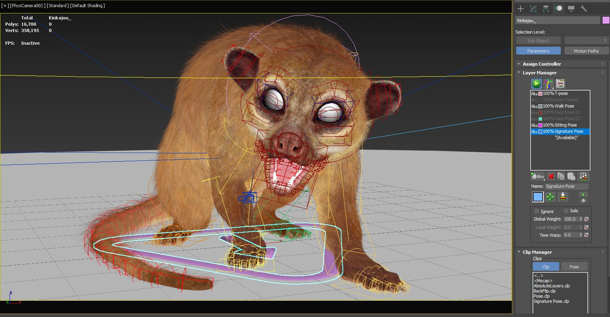 Rigged Kinkajou 3D Model