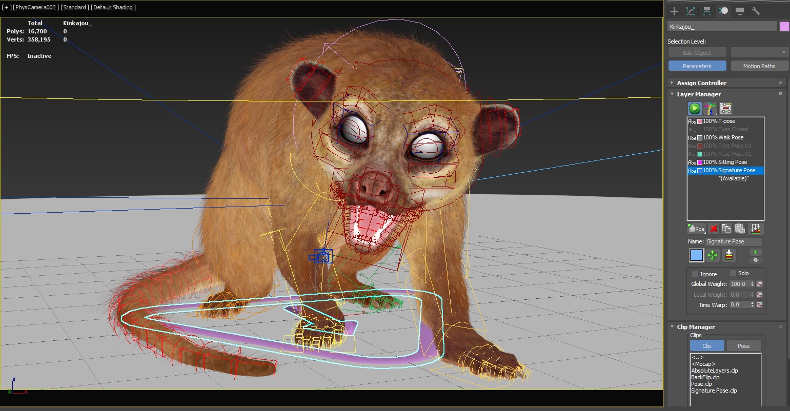 Rigged Kinkajou 3D Model