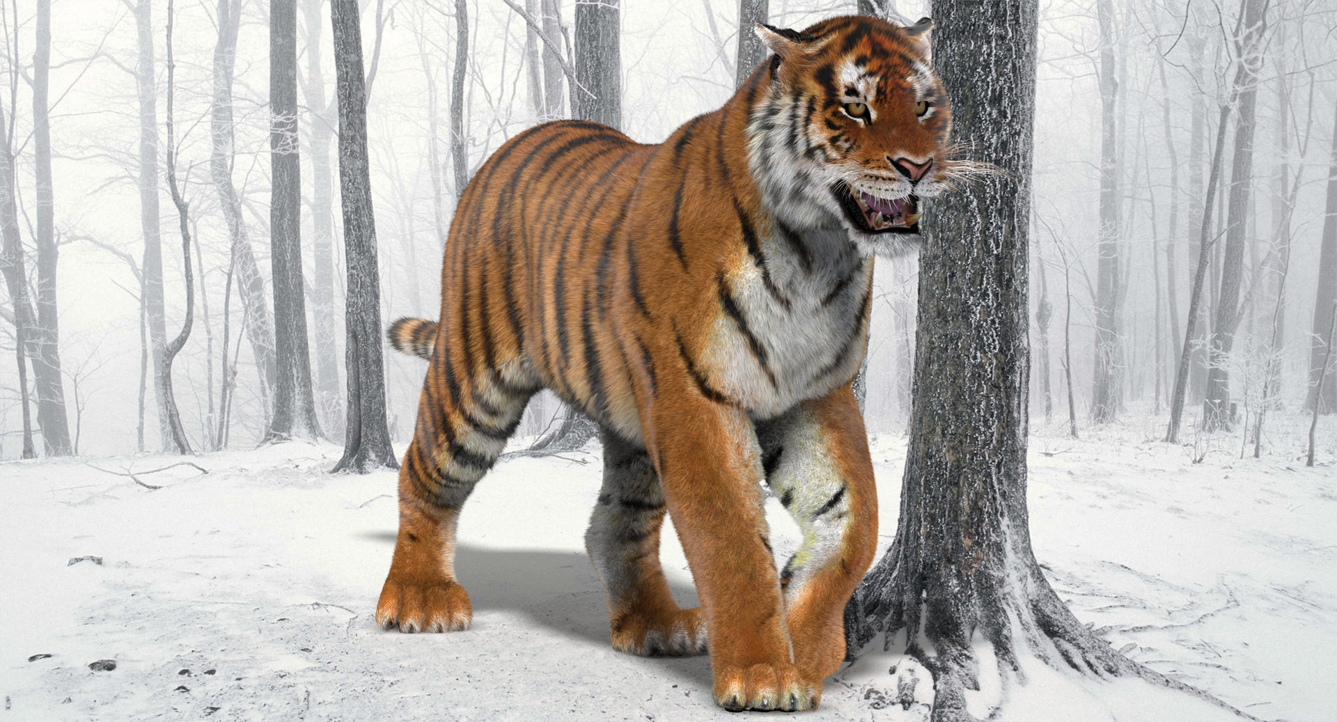 Animated Tiger 3D Model with Realistic Fur