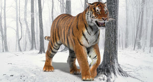 Animated Tiger 3D Model with Realistic Fur Thumbnail
