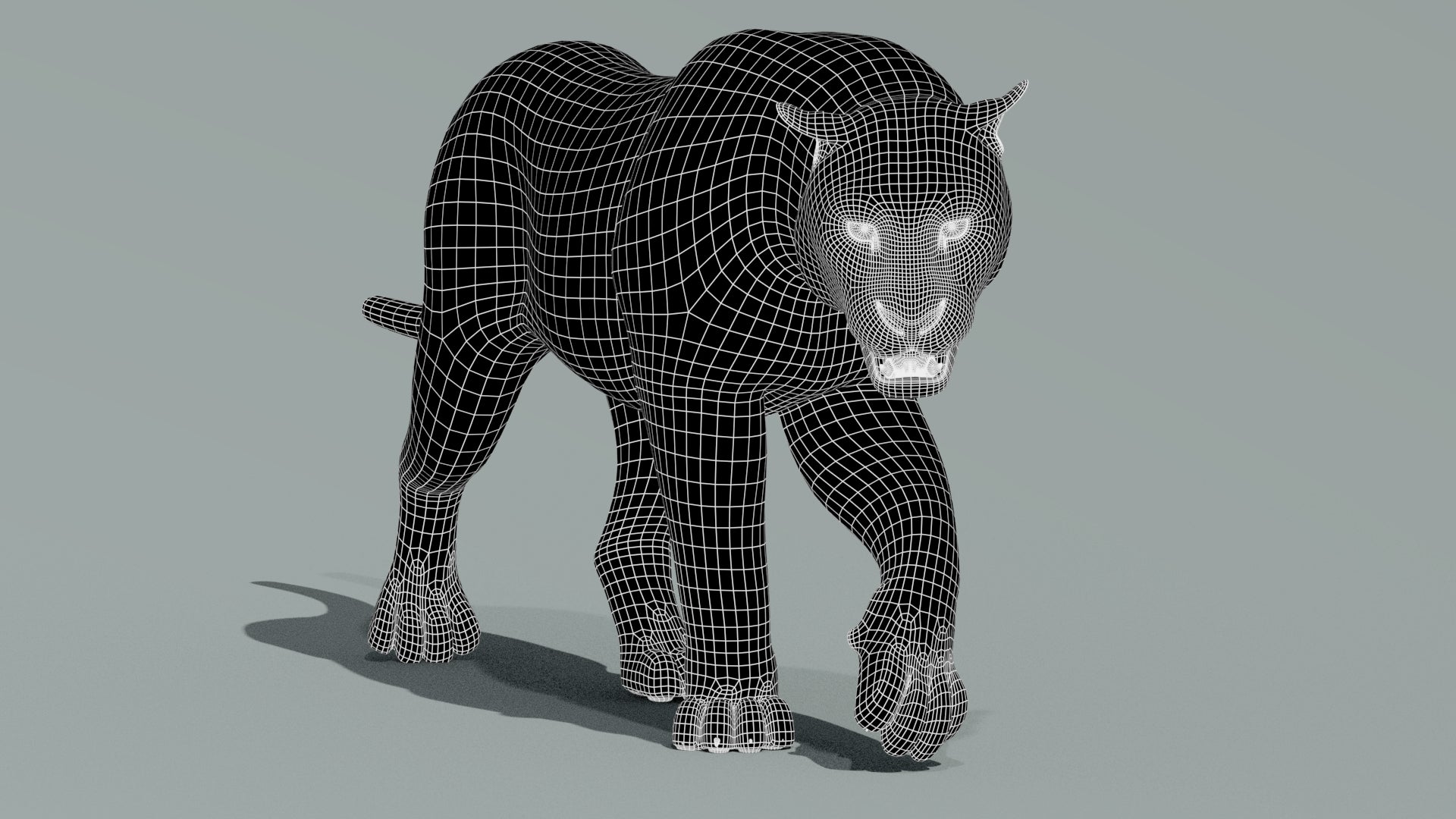 Tiger 3D model mesh topology wireframe at subdivision 1