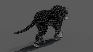 Tiger 3D model back view wireframe with no subdivision Thumbnail