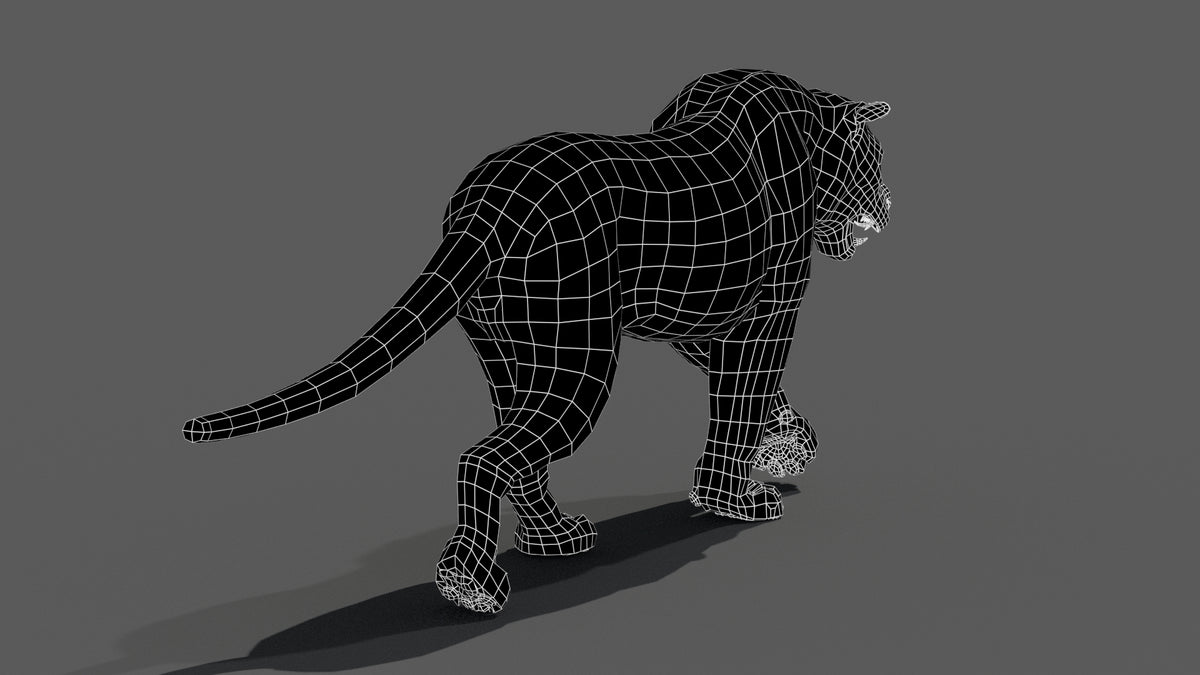 Tiger 3D model back view wireframe with no subdivision