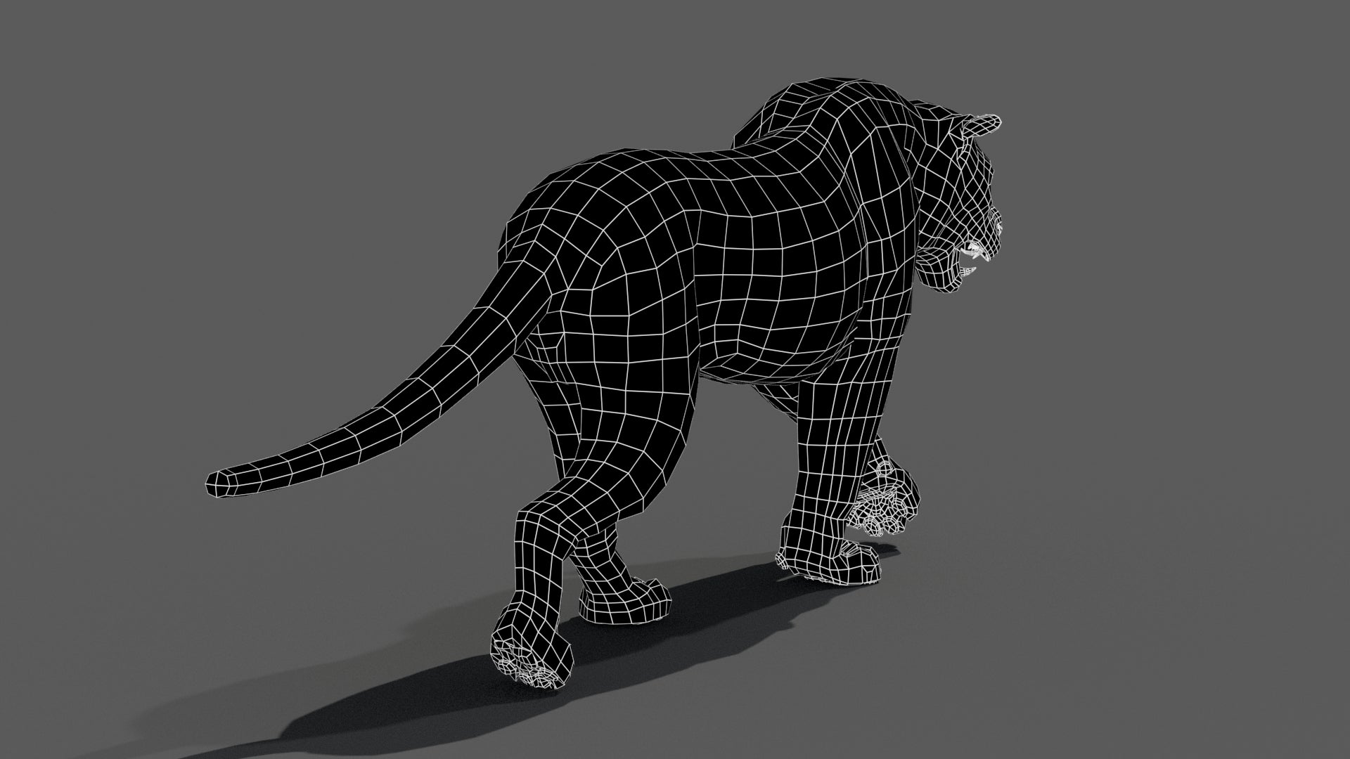 Tiger 3D model back view wireframe with no subdivision
