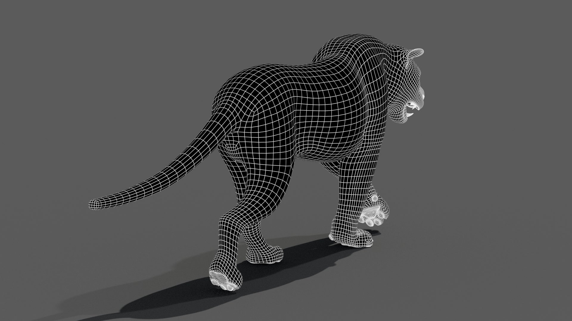 Tiger 3D model back view wireframe with subdivision level 1