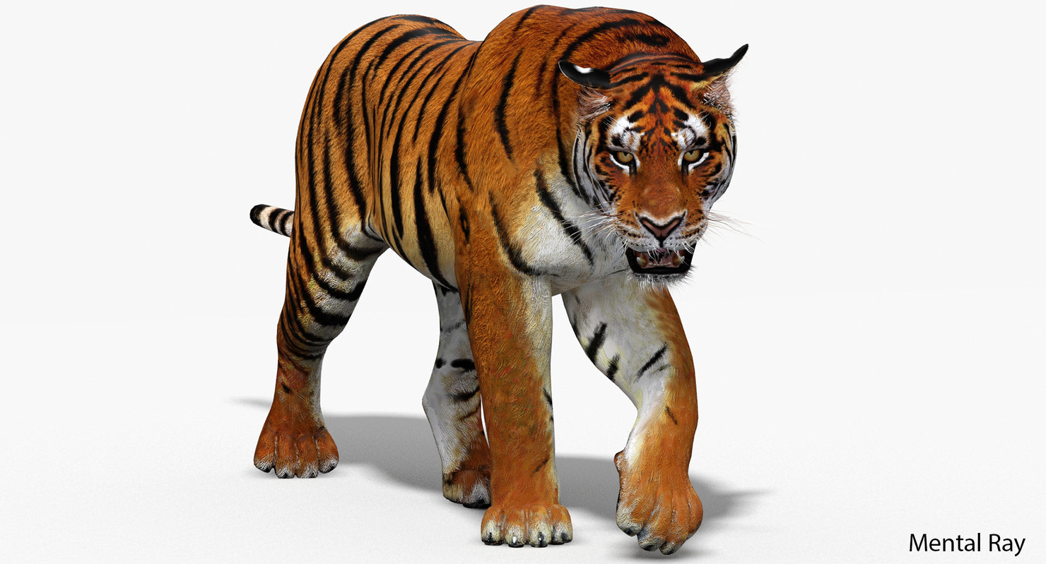 3D rendered 3d tiger model for game - Mental Ray renderer