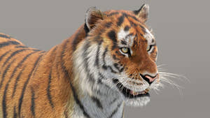 Siberian Tiger 3D Model with Realistic Fur Thumbnail