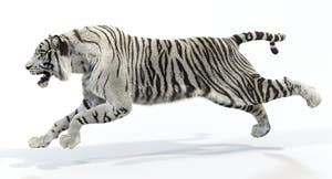 Big Cats Ultimate 3d Models Bundle Thumbnail