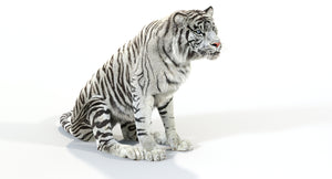 Animated White Tiger 3D Model with Fur Sitting Thumbnail