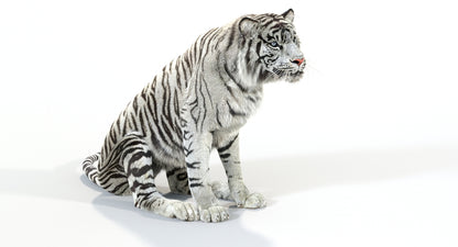 Animated White Tiger 3D Model with Fur