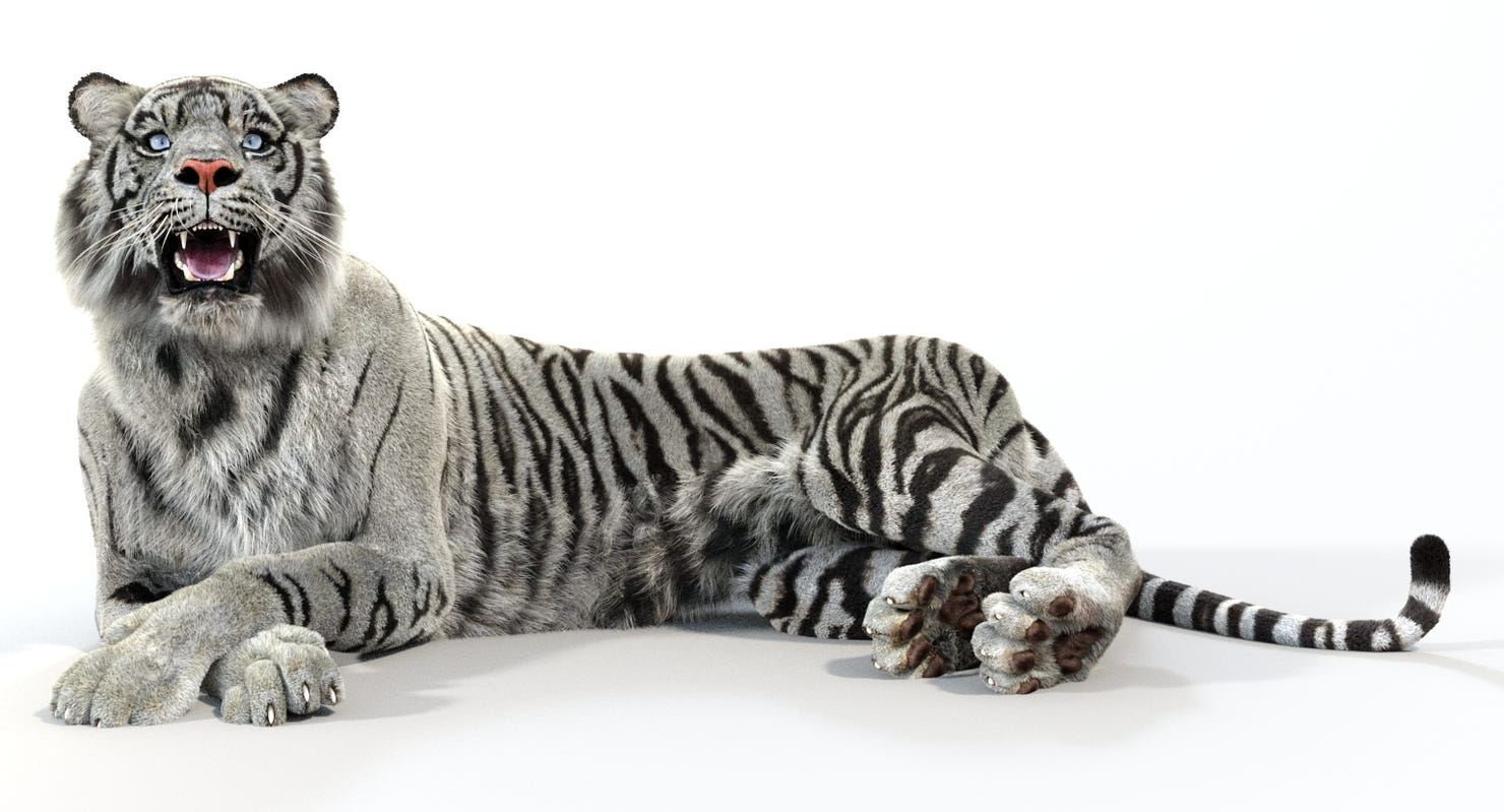 Big Cats Ultimate 3d Models Bundle