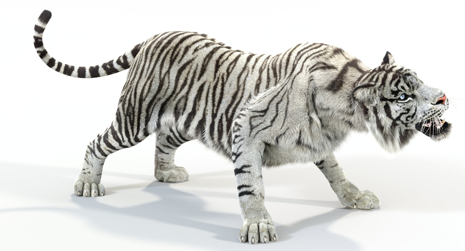 Animated White Tiger 3D Model with Fur 