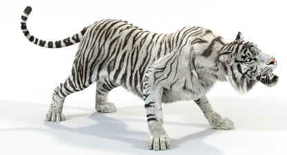 Animated White Tiger 3D Model with Fur