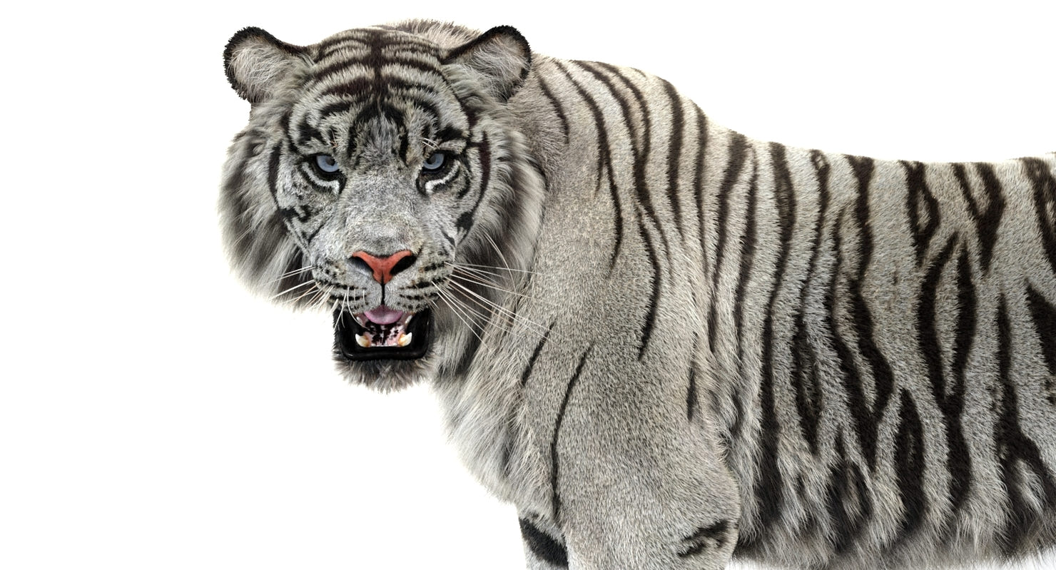 Big Cats Ultimate 3d Models Bundle