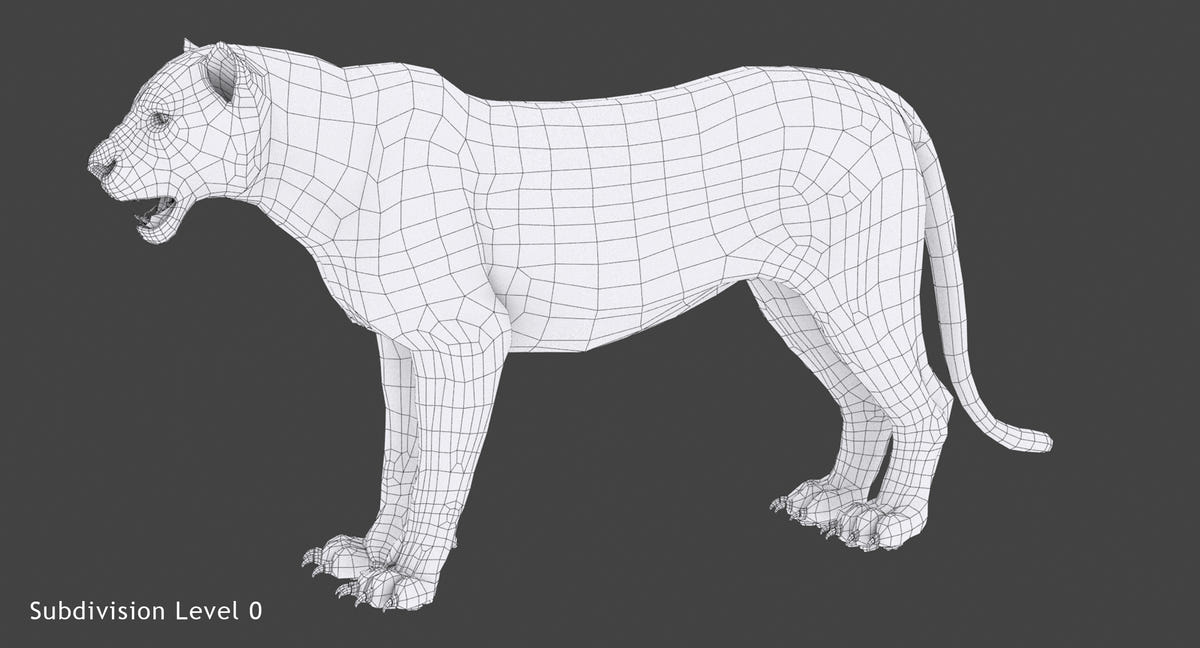 White Tiger 3D Model Wireframe View, Subdivision Level 0