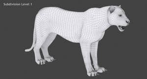 White Tiger 3D Model Wireframe View Subdivision Level 1 Thumbnail