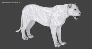 White Tiger 3D Model Wireframe View Subdivision Level 1 Thumbnail