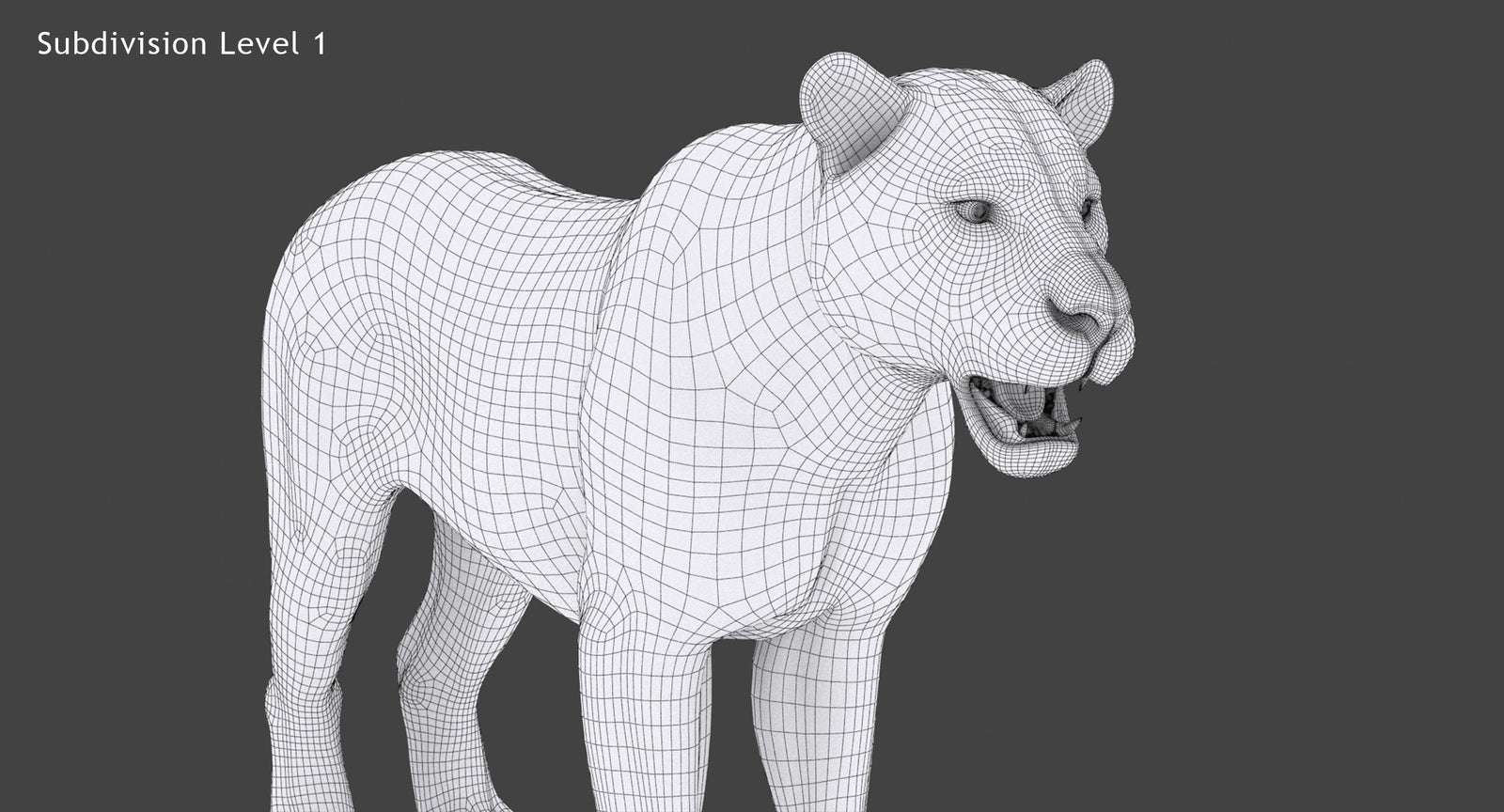 White Tiger 3D Model Close UP Wireframe View Subdivision Level 1