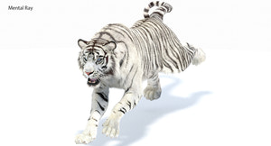 Animated White Tiger 3D Model with Fur - 3ds Max Mental Ray Renderer Thumbnail