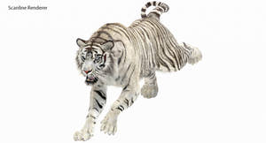 Animated White Tiger 3D Model with Fur - 3ds Max Scanline Renderer Thumbnail
