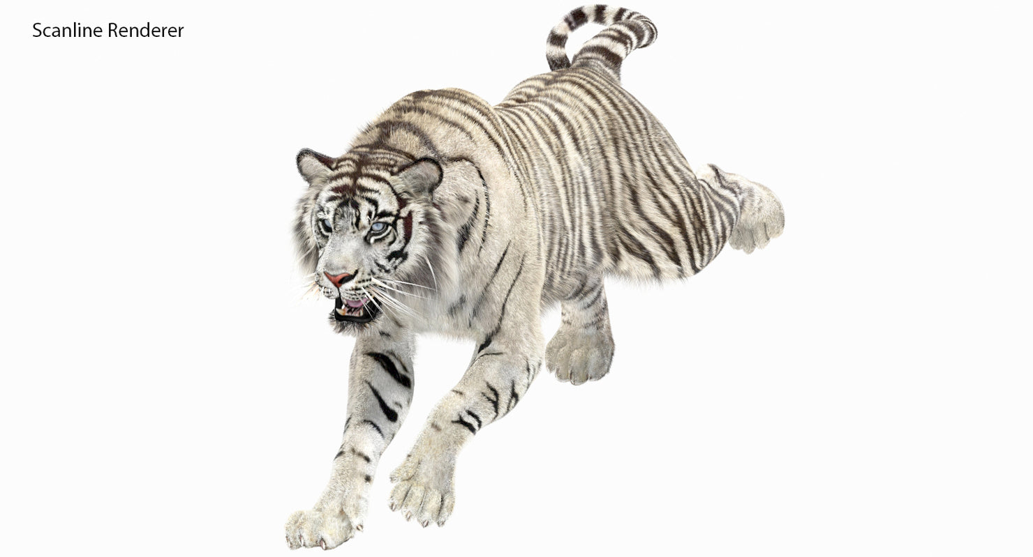 Animated White Tiger 3D Model with Fur - 3ds Max Scanline Renderer