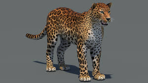Realistic Amur Leopard 3D Model for Download Thumbnail