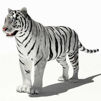 Amur White Tiger 3D Model for Game