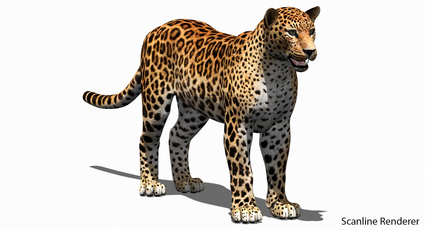Big Cats 04 3D Model