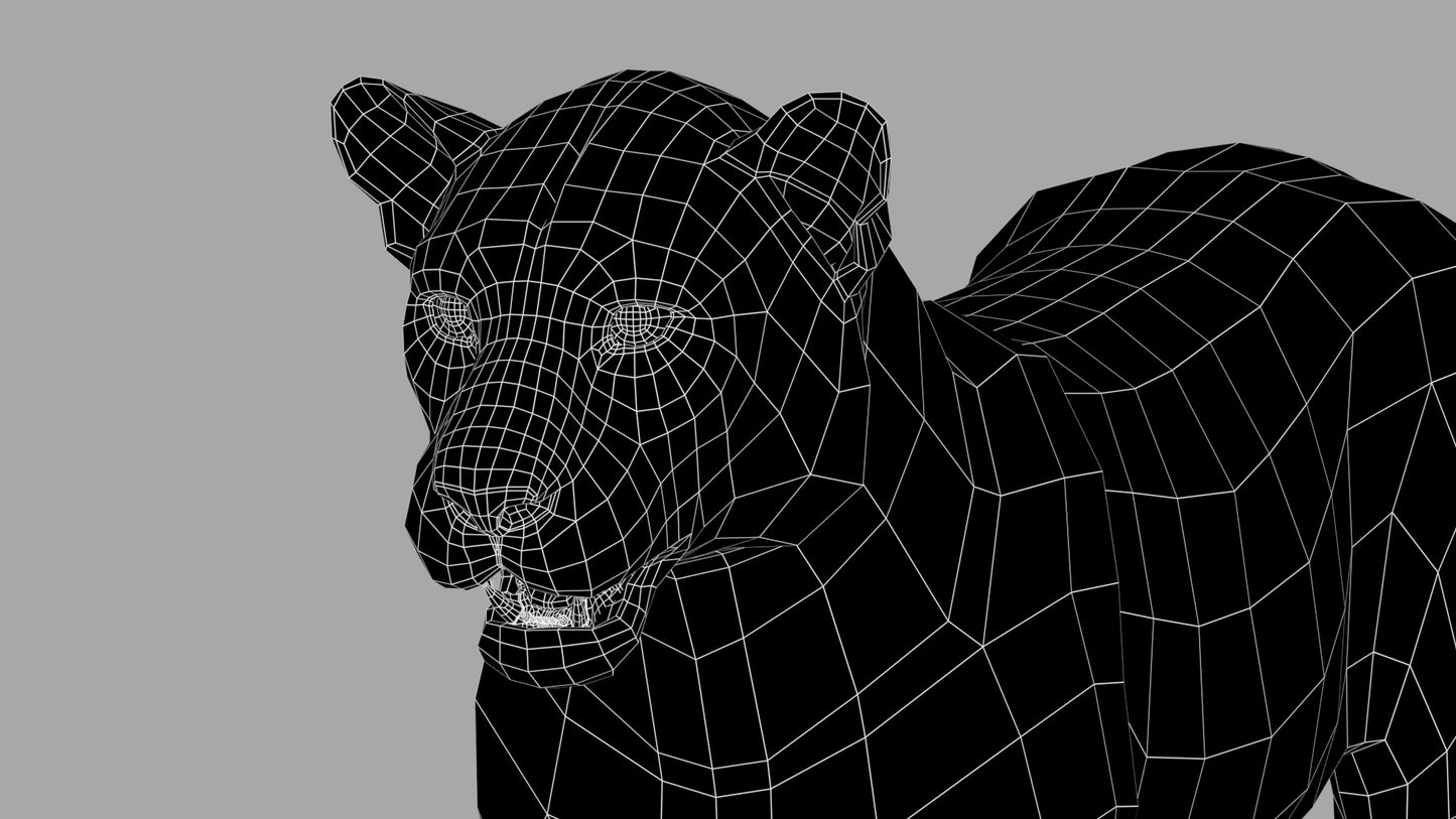 Amur Leopard 3D Model Close Up: Wireframe View - Subdivision Level 0