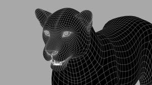Amur Leopard 3D Model Close Up: Wireframe View - Subdivision Level 1 Thumbnail