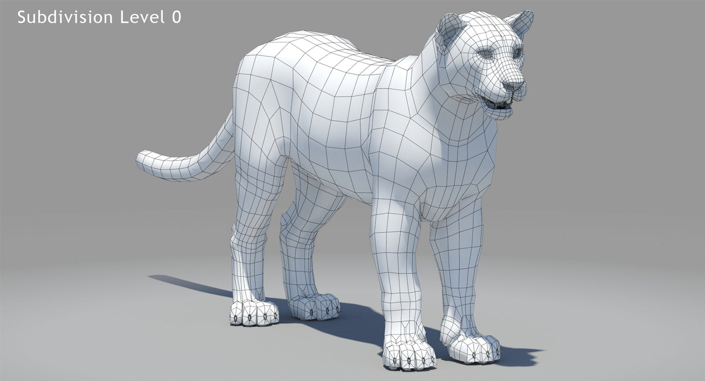 Big Cats 04 3D Model