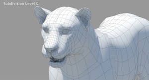 Big Cats 05 3D Model Thumbnail