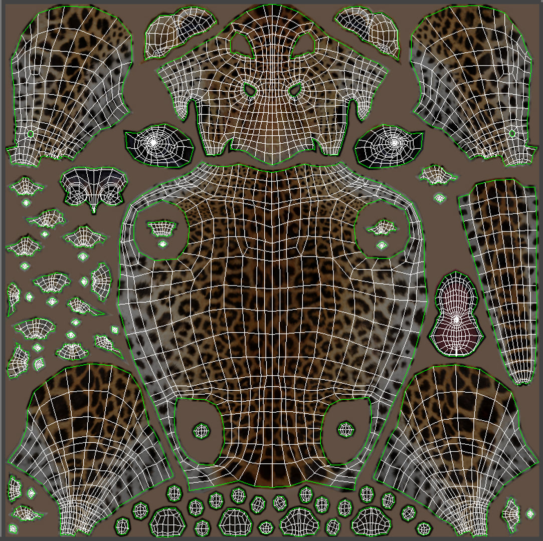 Big Cats 04 3D Model