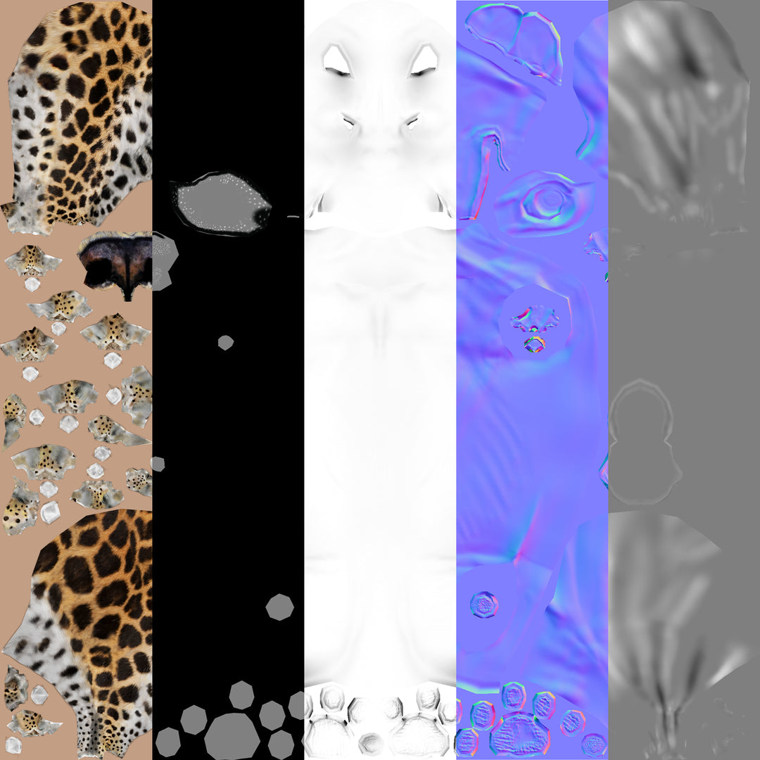 Big Cats 04 3D Model
