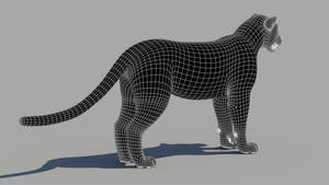 Amur Leopard 3D Model: Wireframe Side View - Subdivision Level 1 Thumbnail